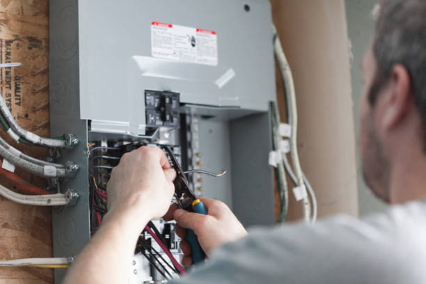 Best Electrical Panel Upgrades  in Robbins, IL